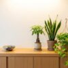 日陰の玄関におすすめの観葉植物（パキラ、サンスベリア、ポトス）のスタイリング例。