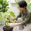 観葉植物（モンステラ）の葉や土の状態を真剣な表情で観察し、根腐れの兆候をチェックする日本人女性。