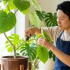 ウンベラータ剪定！どこを切る？伸びすぎや失敗を防ぐコツ