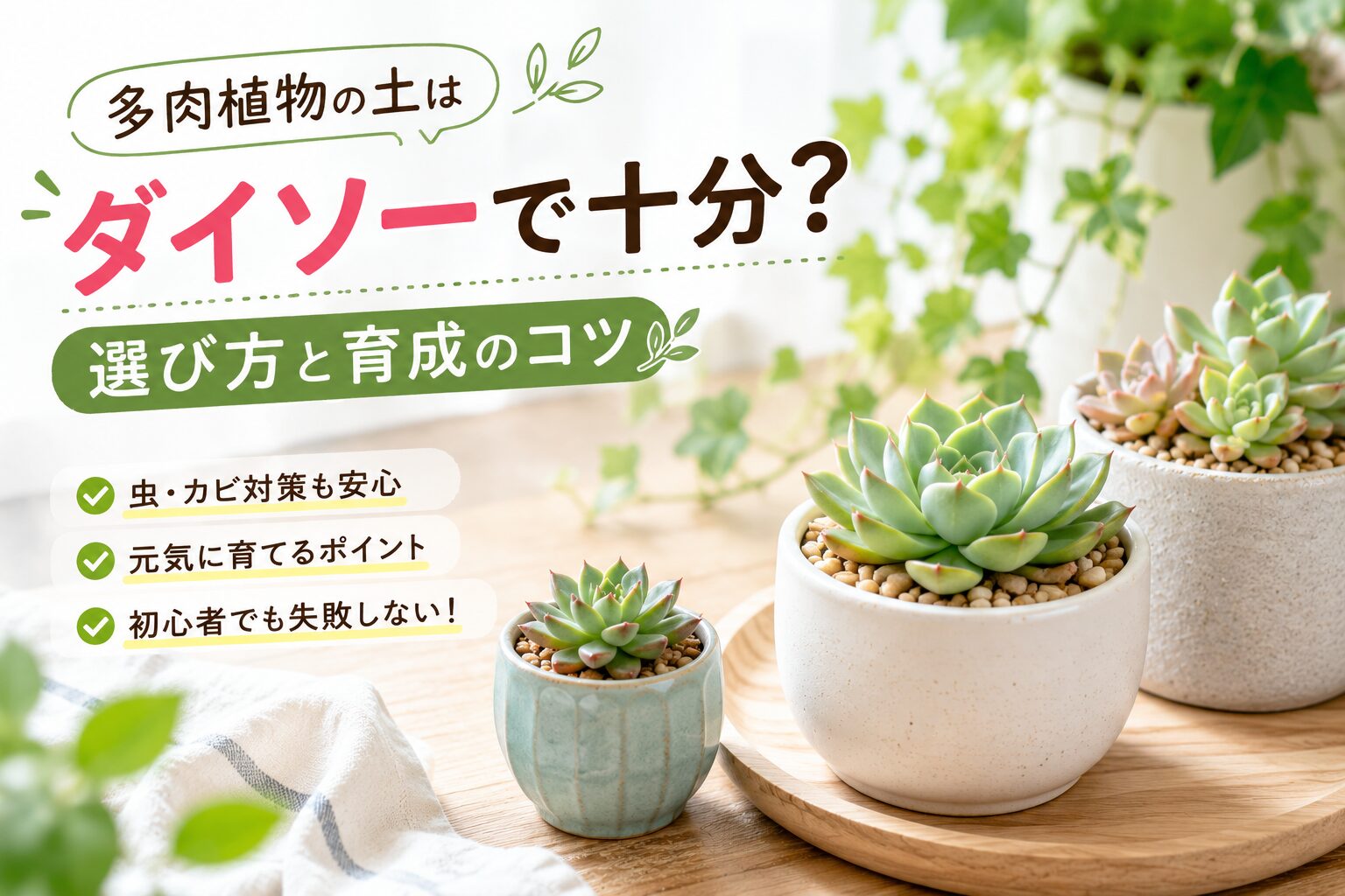 多肉植物の土はダイソーで十分？選び方と育成のコツ