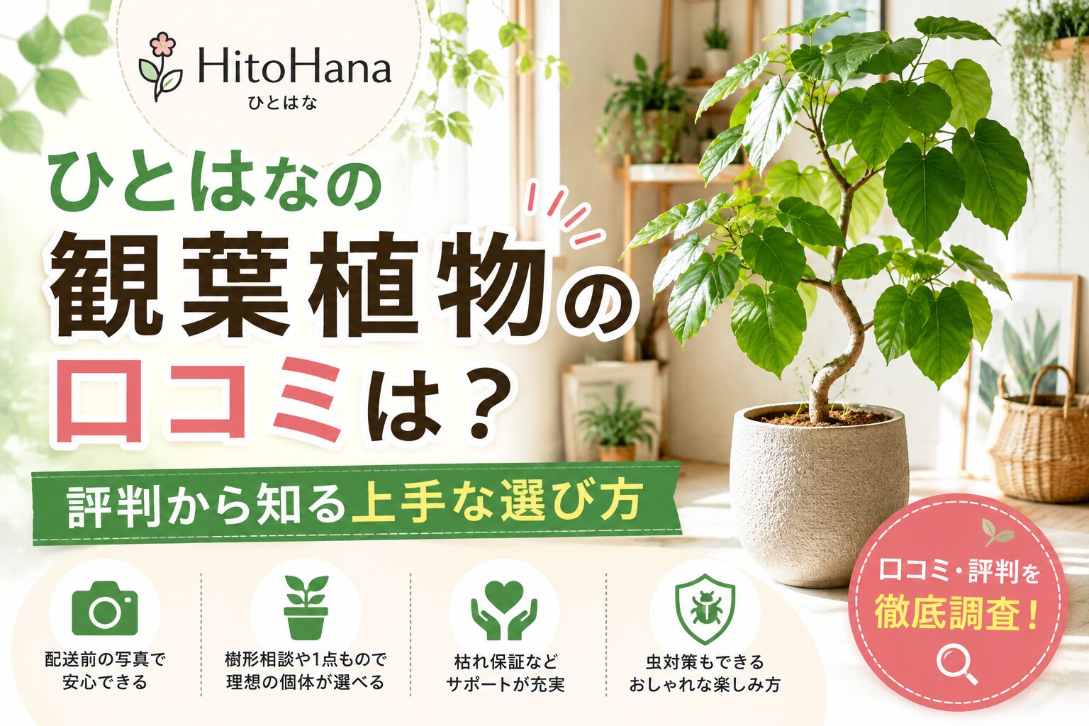 ひとはな（HitoHana）の観葉植物の口コミは？評判から知る上手な選び方