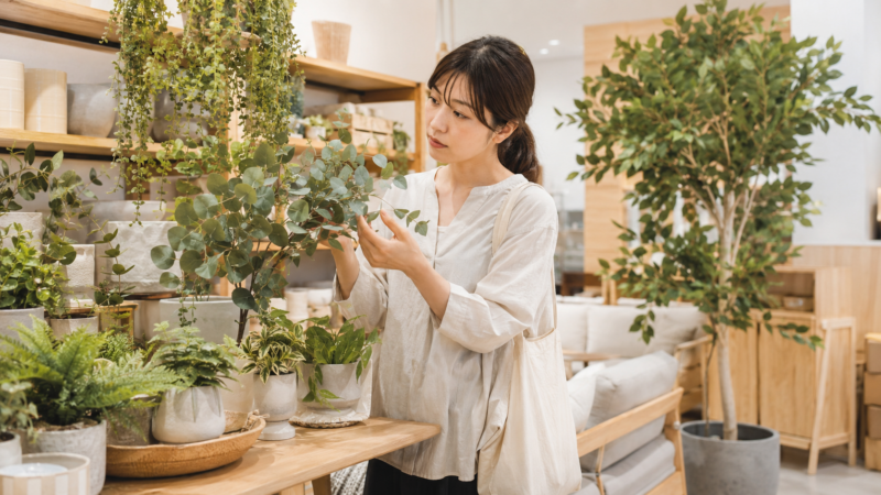 店舗でフェイクグリーンの葉の質感を確認する日本人女性
