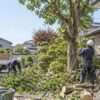 日本家屋の庭で専門業者が庭木を伐採し、切った枝や幹を片付けている様子